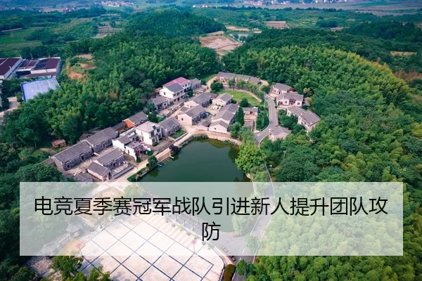 电竞夏季赛冠军战队引进新人提升团队攻防